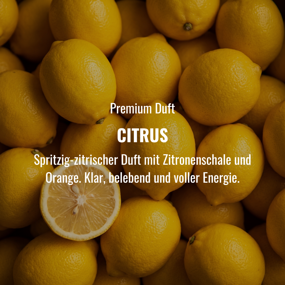 Festes Shampoo Citrus - 100g