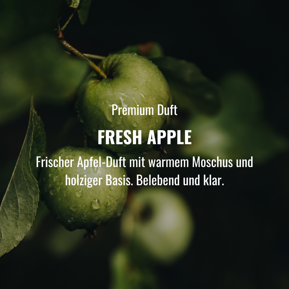 Pomade Wasserbasiert 'Torreto Series' Probierset