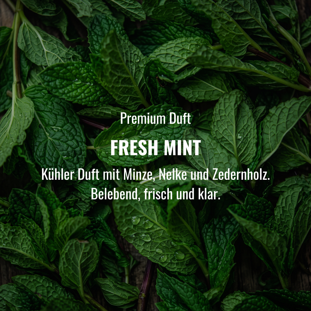 Festes Shampoo Fresh Mint - 100g