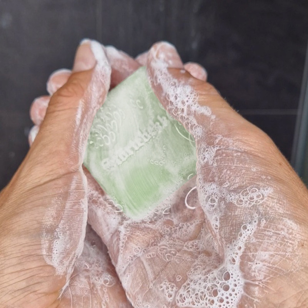 Solid Shampoo Aloe Vera