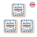 Festes Shampoo Anti-Schuppen - 100g