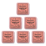 Festes Shampoo Tortuga - 100g